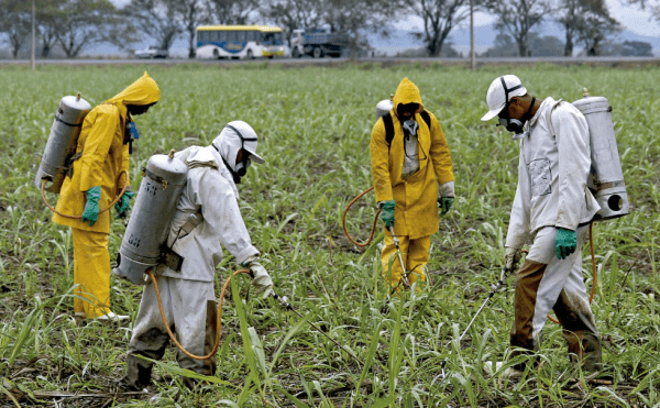 Un grupo de personas vestidas con mamelucos fumigan la tierra