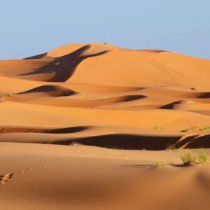 Por primera vez en 10 mil años, el desierto de Sahara cambió de color y tiene una explicación