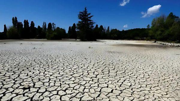 La peor sequía en la historia de Brasil pone en jaque a todo el mundo: por qué y cuál es el grado de magnitud del problema