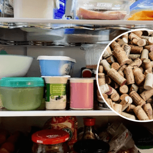 Cómo se puede ahorrar energía con un corcho de vino en la heladera