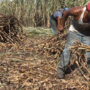 Empresarios azucareros deberán pagar una fortuna para reparar el daño ambiental producido por residuos peligrosos