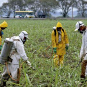 Fallo histórico obliga al Estado a garantizar agua potable segura ante la contaminación con agroquímicos