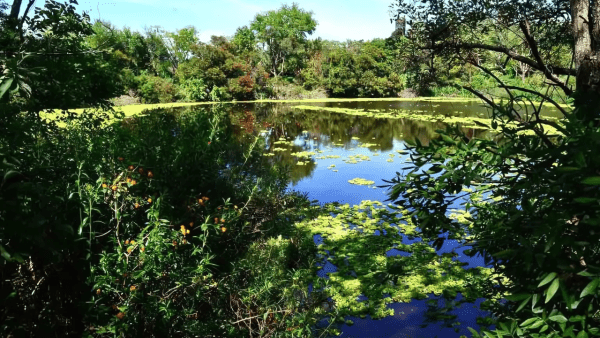 Escapada natural: la reserva gratuita a 30 minutos de CABA, ideal para el fin de semana largo