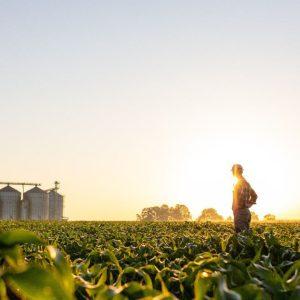 El plan local del mayor productor de agroquímicos del mundo para gestionar la sustentabilidad de sus negocios