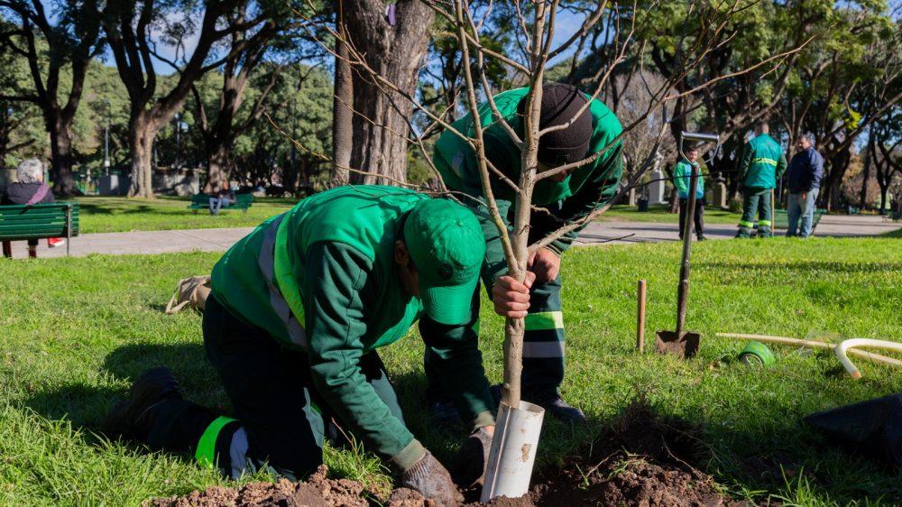 Con más de 18.000 nuevos ejemplares plantados, la Ciudad completó el Plan de Arbolado 2024