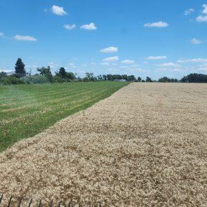 Así es el corredor biológico de 7 mil hectáreas que une dos ciudad en  Santa Fe