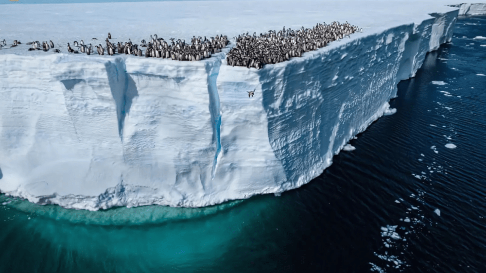 Estas son las mejores fotos del 2024, según National Geographic