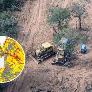 Salta: el Gobierno impulsa un controversial proyecto de ley para el «ordenamiento» de bosques nativos