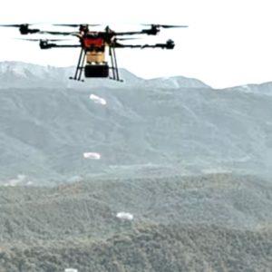 Una startup usa drones e inteligencia artificial para reforestar bosques, ¿cómo funciona?
