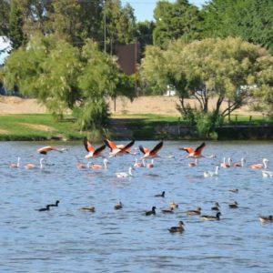 Un lugar mágico de Argentina fue reconocido como «Ciudad de Humedal»