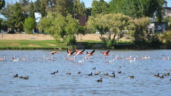 Un lugar mágico de Argentina fue reconocido como «Ciudad de Humedal»