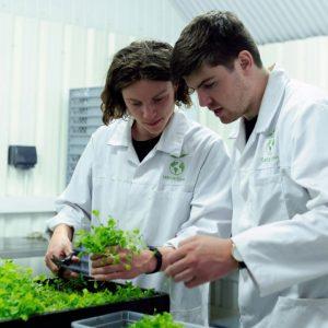 Carreras «verdes»: qué estudiar en Argentina si te interesa el medio ambiente