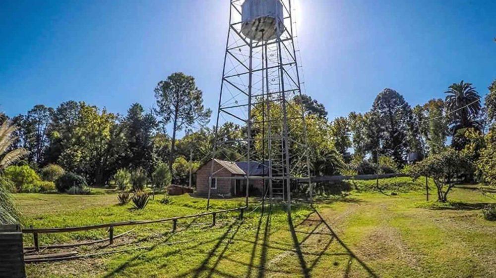 Ni Chascomús ni Uribelarrea: el pueblo del "millón de árboles" a menos de 200 km de Buenos Aires