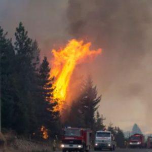 Tras las críticas por el manejo de los incendios, el Gobierno confirmó al nuevo subsecretario de Ambiente