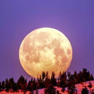 Cuándo es la Luna llena de febrero 2025: consejos para observar la «Luna de Nieve»