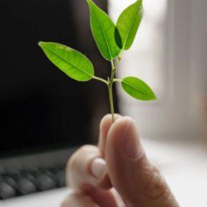 El nuevo “mantra” empresario para descarbonizar los negocios