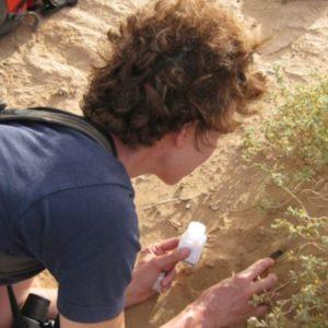 Detectaron “presencia persistente” de hongos y bacterias del desierto de Sahara en Europa