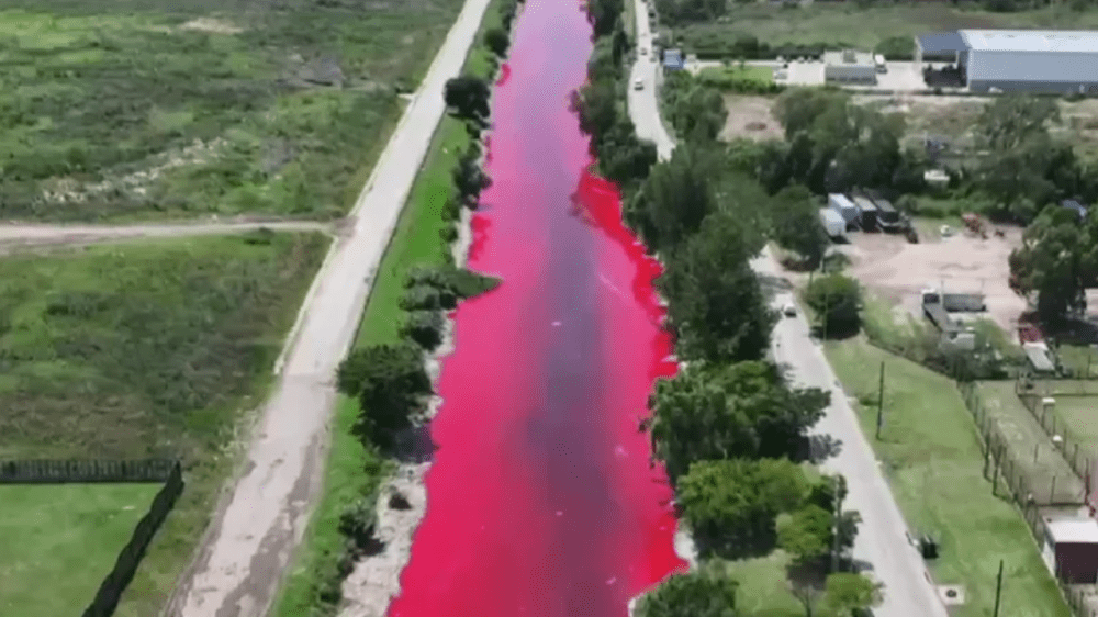 Alarma en Avellaneda: El arroyo Sarandí se tiñe de rojo y vecinos denuncian contaminación industrial