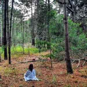 Baños de bosque: qué son, por qué mejoran la salud y dónde se hacen en Argentina
