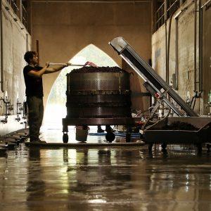 Lanzan la primera calculadora de emisiones para bodegas de Latinoamérica