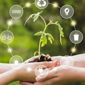 Sustentabilidad pese a la crisis: cómo las Pymes refuerzan su compromiso ambiental en tiempos adversos