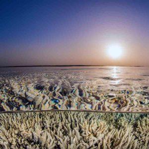 La Tierra alcanzó el primer punto de inflexión climático catastrófico