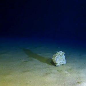 Encontraron basura humana en el abismo más profundo del océano