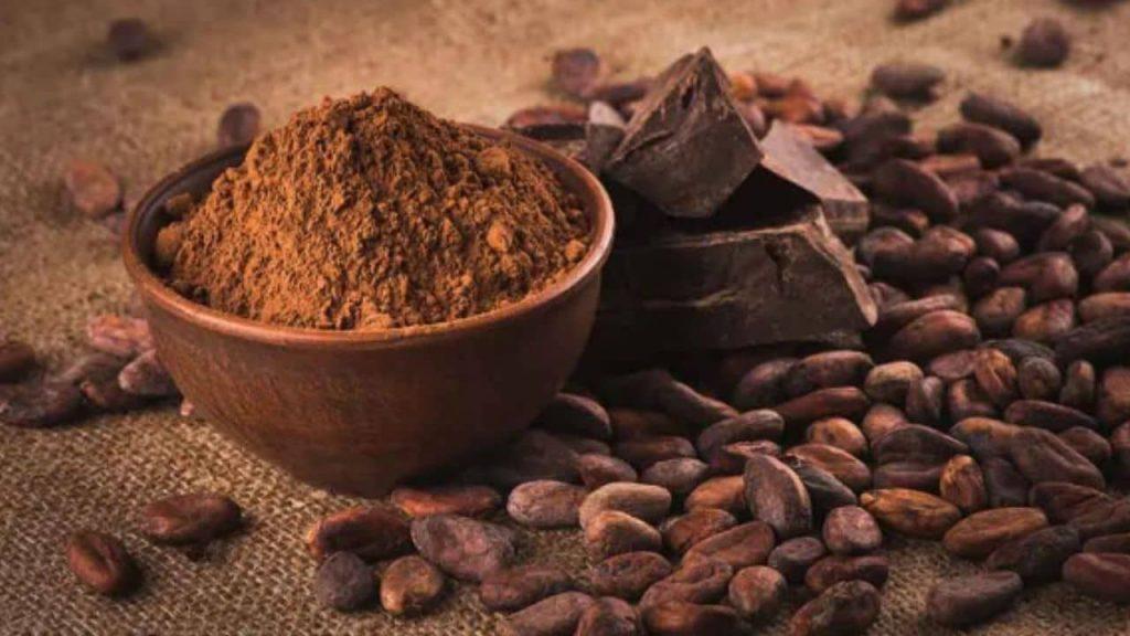 El mito del cacao: la estrategia de las marcas para vender aceite vegetal como “chocolate” El mito del cacao: la estrategia de las marcas para vender aceite vegetal como “chocolate”
