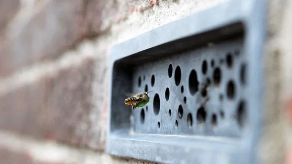 Qué son los “bee bricks”, los ladrillos ecológicos que ayudan a proteger a las abejas