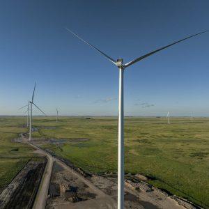 Ternium ya genera el 90% de su energía con un nuevo parque eólico en Olavarría