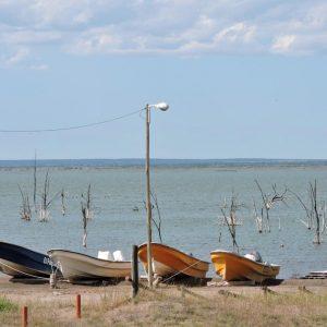 Pesca, silencio y descanso: la laguna «escondida» que atrae cada vez más turistas en Buenos Aires
