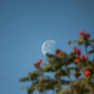 Llega el fenómeno astronómico más destacado del mes: qué es la microluna y qué color tiene