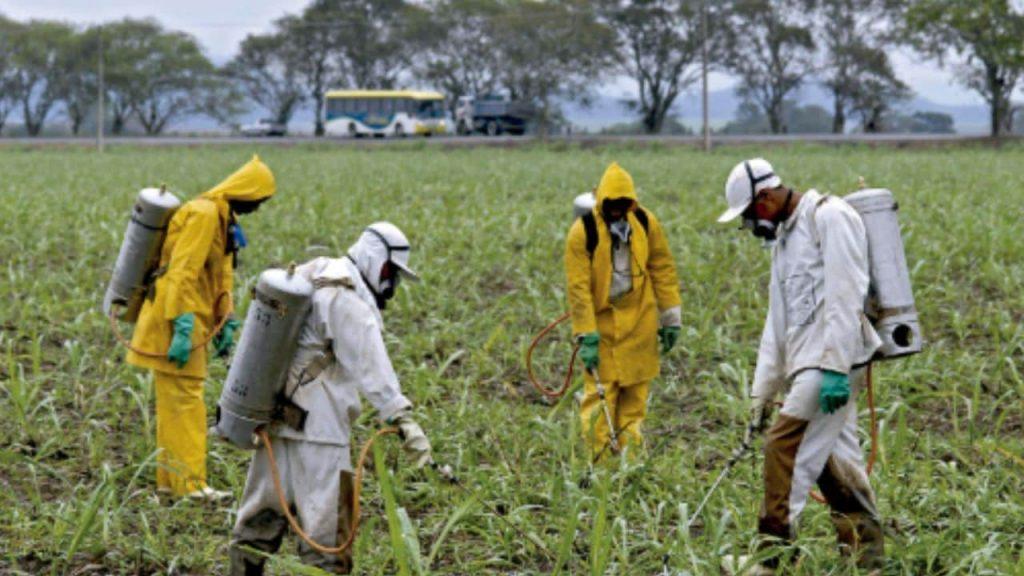Alertan por agua contaminada con agrotóxicos: “Este modelo nos envenena”