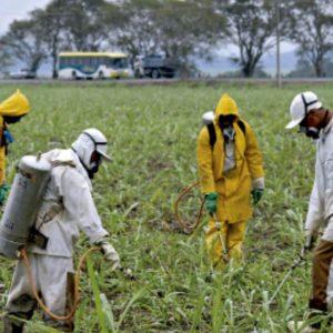 Alertan por agua contaminada con agrotóxicos: “Este modelo nos envenena”