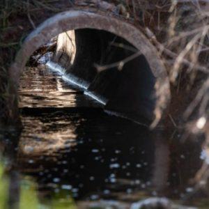 Presentaron imágenes y estudios para denunciar grave contaminación en un basural