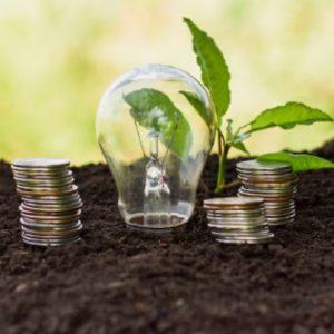 Las finanzas verdes en América latina: ¿moda pasajera o revolución financiera?