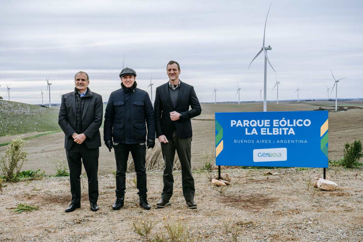 Revolución eólica en Argentina: el futuro de la energía renovable está en el viento