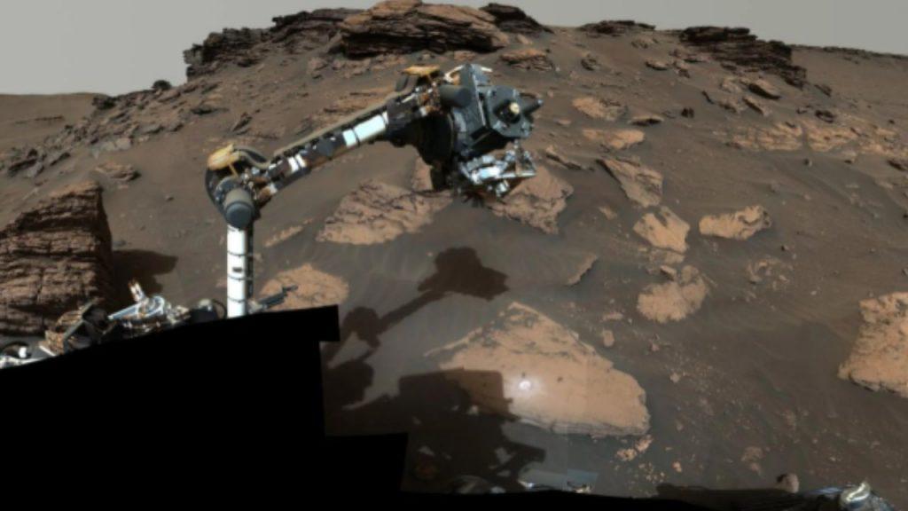 La NASA halló «esferas de huevos de insectos» en Marte y no es la primera vez que ocurre