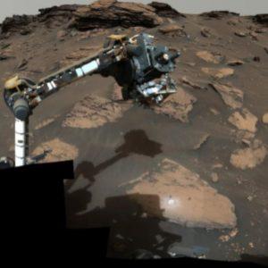 La NASA halló «esferas de huevos de insectos» en Marte y no es la primera vez que ocurre