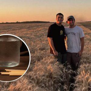 Son amigos y crearon “Paja”: los primeros sorbetes de trigo 100% argentinos