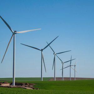 Una empresa química líder operará con energía 100% renovable en todas sus plantas de Argentina