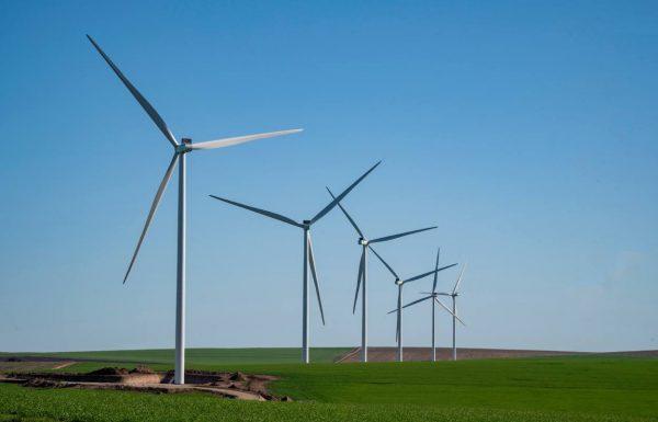 BASF firma un acuerdo con Genneia para el abastecimiento de energía eléctrica de origen renovable en todas sus plantas productivas