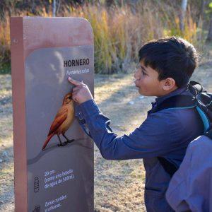 Así es BioRío, la propuesta educativa que une a la comunidad en torno al cuidado ambiental