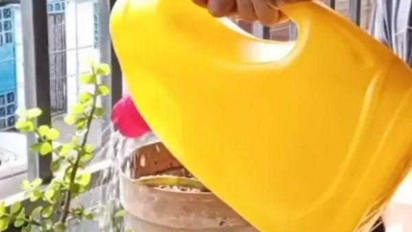 envase de lavandina amarillo