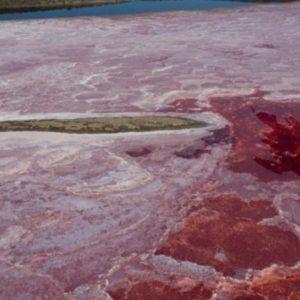 La NASA halló un lago espectacular que se creía extinto y reveló una imagen