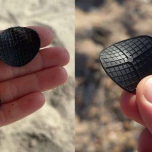 Hallaron plástico negro en forma de “pringles” y preocupa a ambientalistas