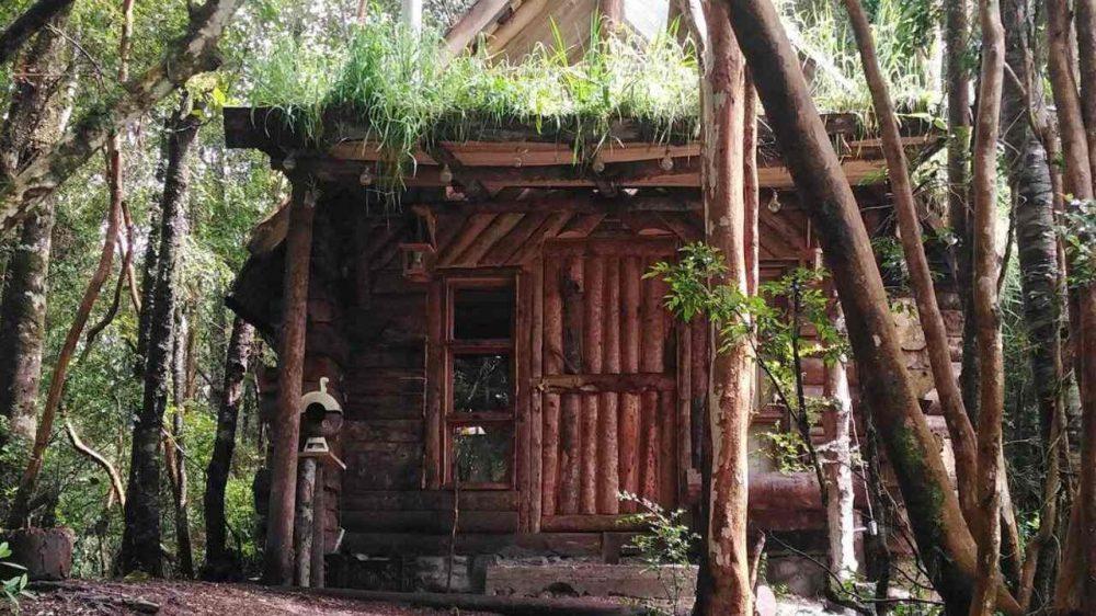 Escapada: el refugio "tiny house" entre árboles nativos y aguas termales