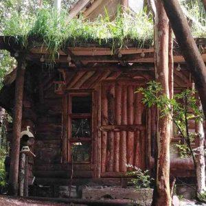 Escapada: un refugio estilo «tiny house» entre árboles nativos y aguas termales