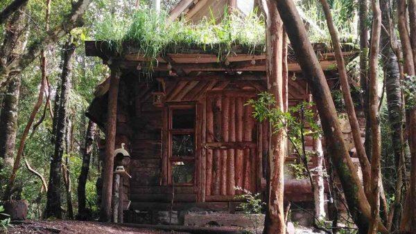 Escapada: el refugio "tiny house" entre árboles nativos y aguas termales