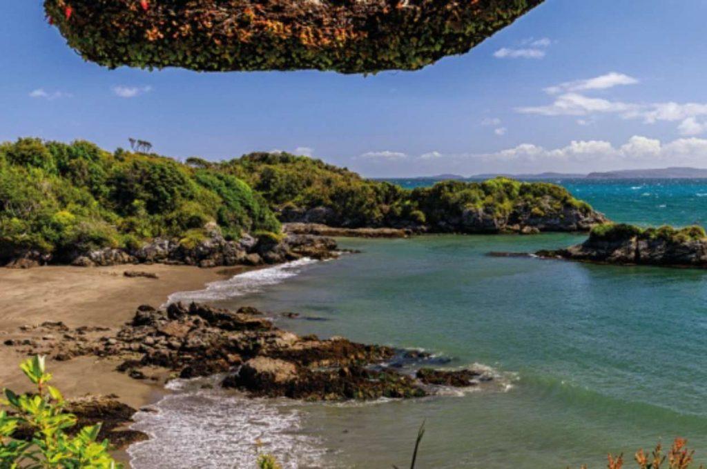 Leonardo DiCaprio compró “la pequeña Galápagos”: ¿Cuánto pagó por la isla?